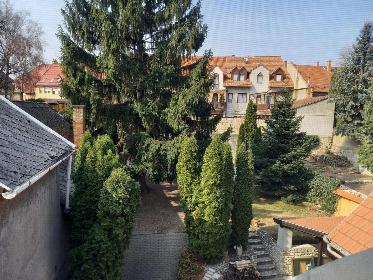 Europa Panzio Bed and Breakfast Eger Buitenkant foto